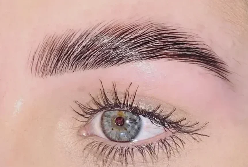 Bold Brows Achieve fuller, lifted, perfectly groomed brows with our lamination service. This treatment smooths and sets your natural hair into a refined shape that enhances your features. Enjoy up to eight weeks of fluffy, polished, runway-quality brows. Fuller natural brow shape Smooth lifted finish Long-lasting defined result Perfect daily styling